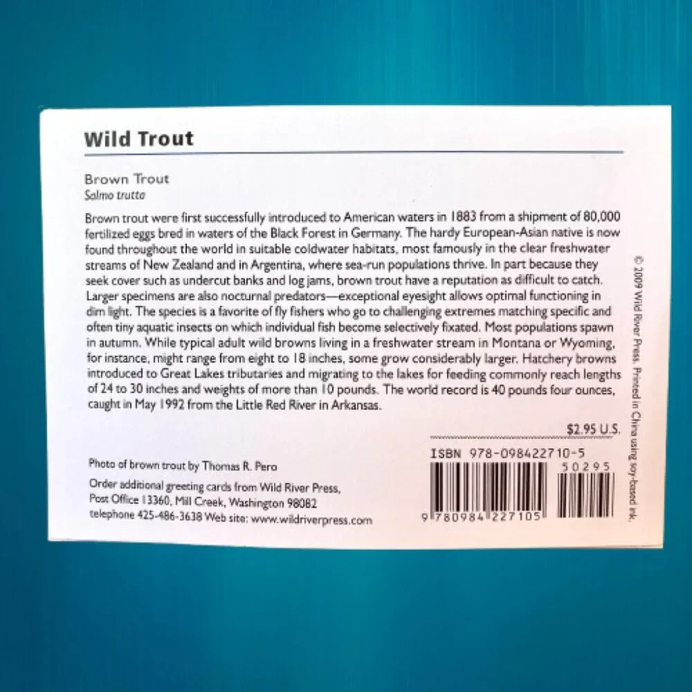 WILD TROUT Stationery Note Greeting Cards Blank 12 Cards + Envelopes Box